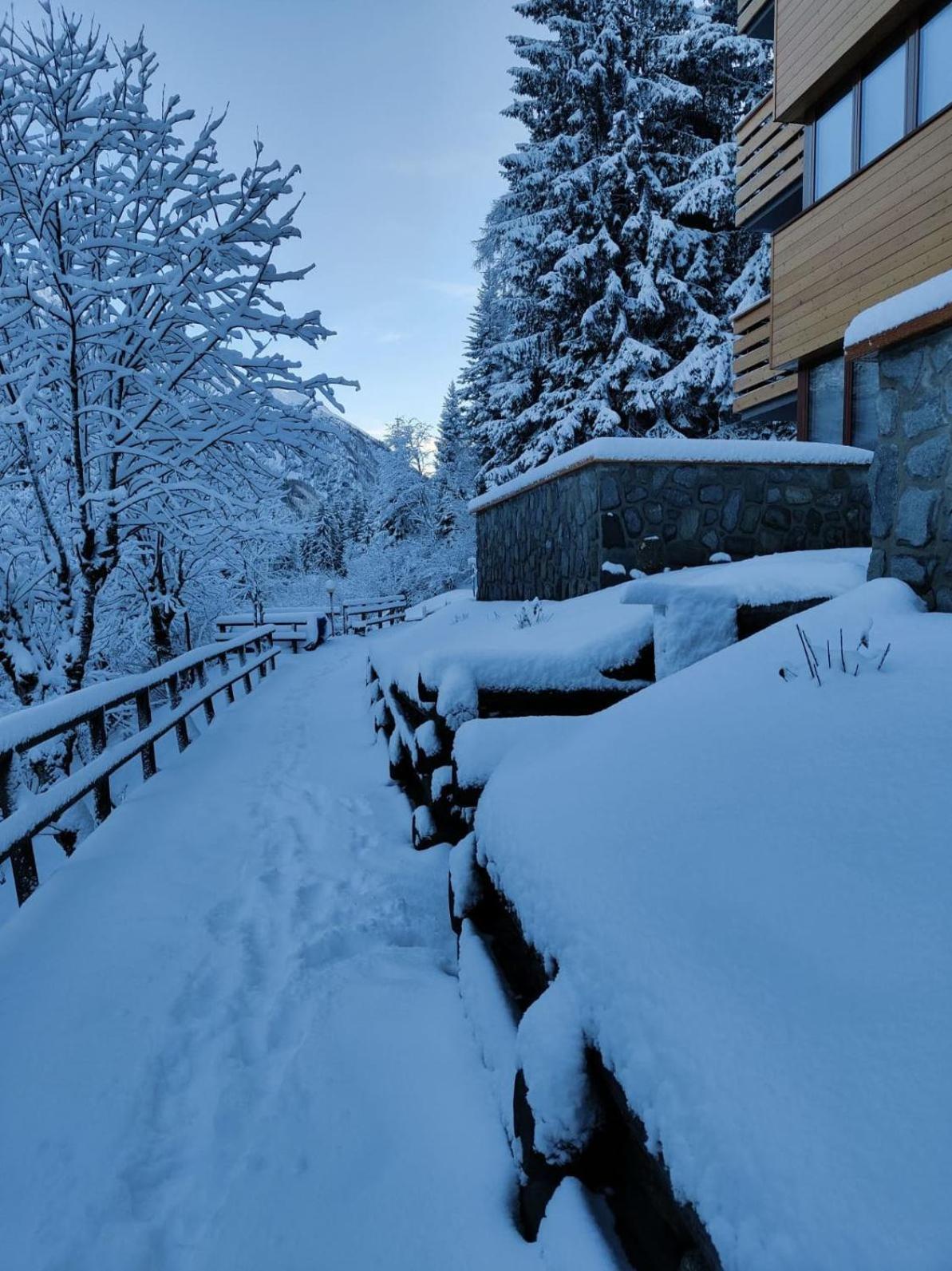 Appartamento I Larici Folgarida Esterno foto
