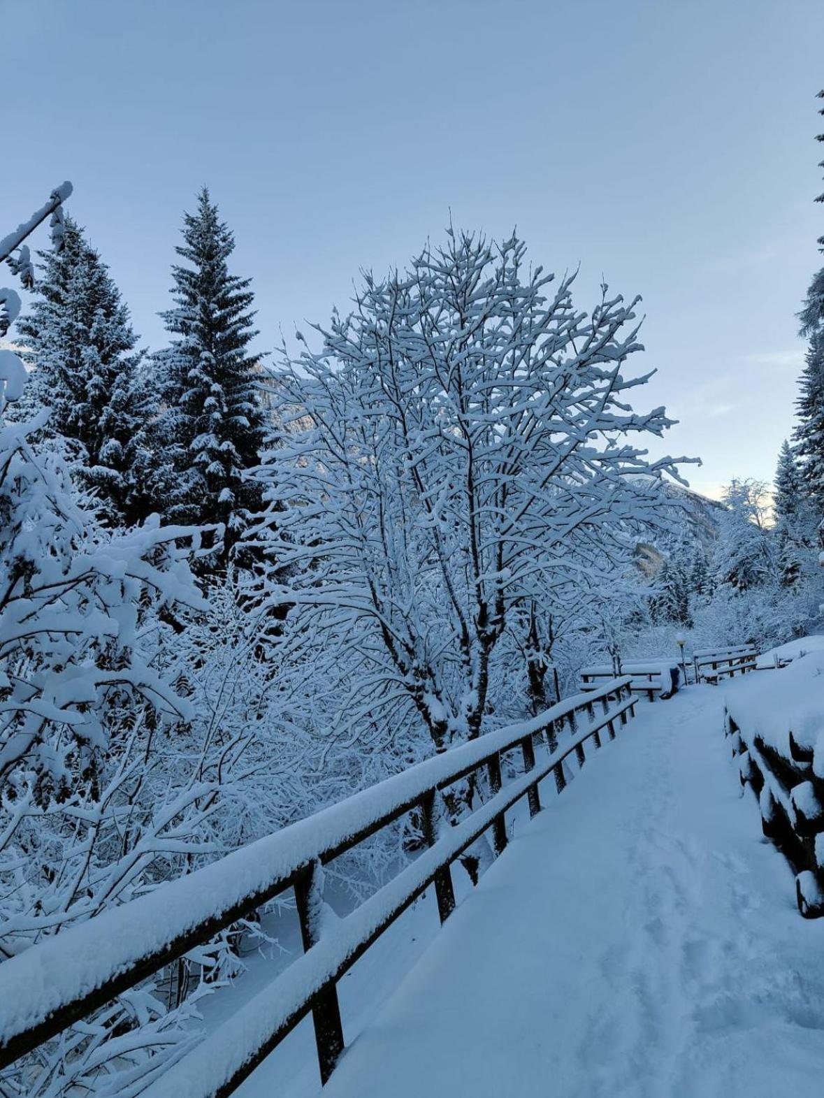 Appartamento I Larici Folgarida Esterno foto